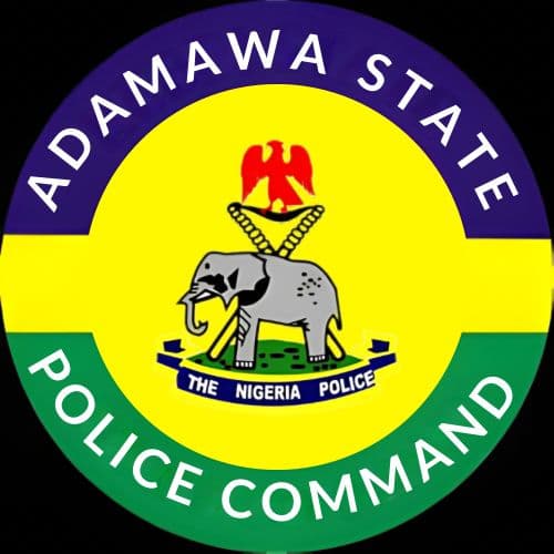 Police Rescue Two Kidnap Victims, Arrest Suspect in Adamawa