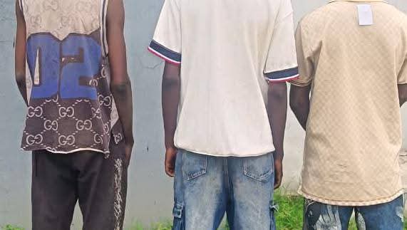 Adamawa Police Arrest Three Suspected Shilla Gang Members in Fresh Crackdown